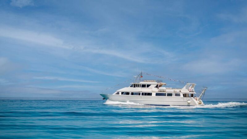 From Tropea: Lipari Panarea Stromboli Night Cruise - Lipari, Panarea, Stromboli Night Cruise from Tropea: An Adventure in the Aeolian Islands