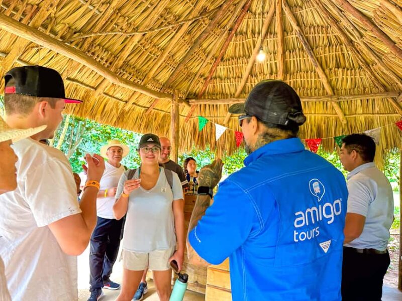 From Tulum: Chichen Itza, Cenote & Valladolid Tour - The Logistics and Comfort of the Tour