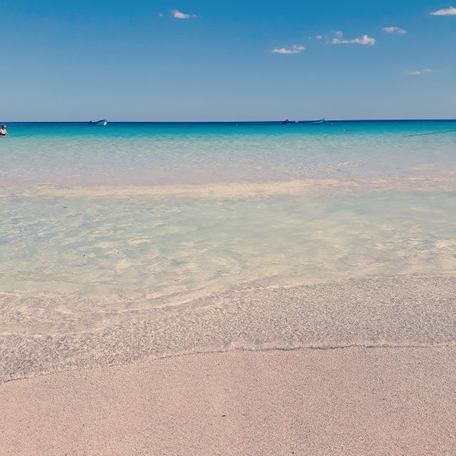 From Tulum: Holbox Island Full-Day Trip with Lunch - Exploring Isla Pájaros and Bird Watching Opportunities