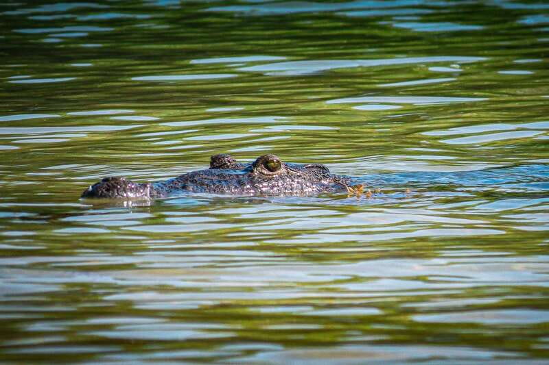 From Tulum: Sian Kaan Boat Trip Adventure with Lunch - Exploring Punta Allen and Relaxing on the Beach