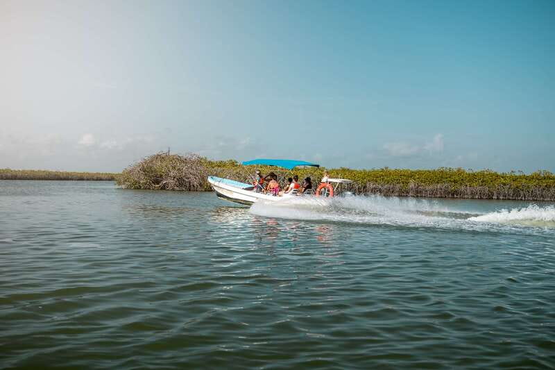 From Tulum: Sian Kaan Boat Trip Adventure with Lunch - Environmental Focus and Responsible Tourism