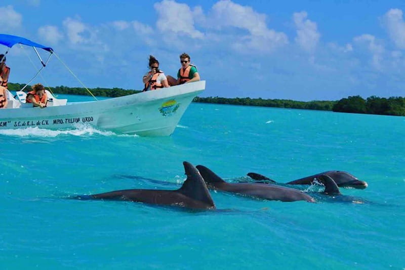 From Tulum: Sian Kaan Day Tour - Explore the Untouched Wetlands of Sian Kaan on a Full-Day Tour from Tulum