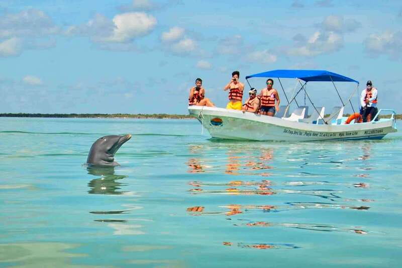 From Tulum: Sian Kaan Day Tour - Encountering Marine Life: Dolphins, Manatees, and More