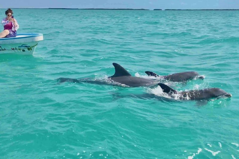 From Tulum: Sian Kaan Day Tour - Practical Tips and Considerations for Participants