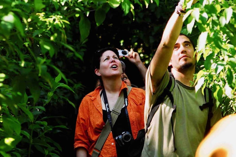 From Tulum: Sian KaAn Muyil Lagoon Tour - Key Points