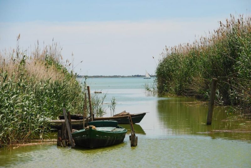 From Valencia: Albufera Boat Ride & Food (Paella) Included - Explore the Beauty of Albufera Lake with a Boat Ride and Paella