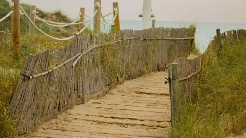 From Valencia: Albufera Natural Park Eco Boat Tour & Sunset - The Tour Starts Just Minutes from Valencia in the Valencian Community