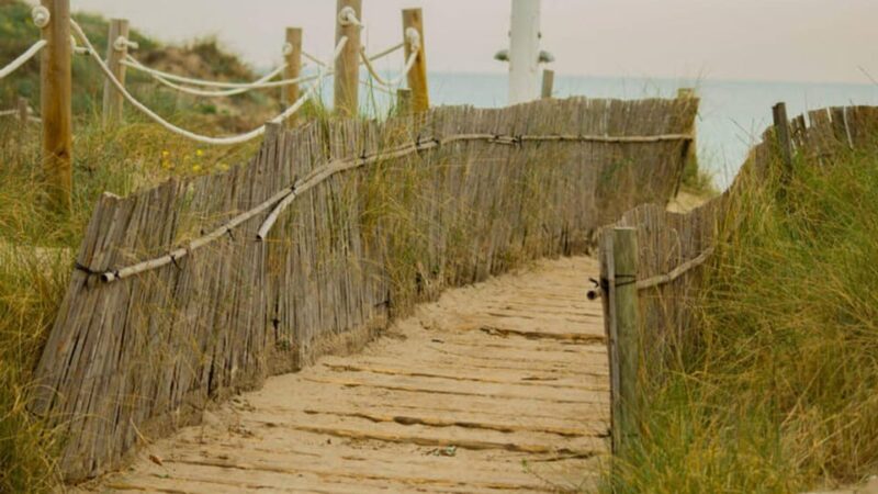 From Valencia: Albufera Natural Park Eco Boat Tour & Sunset - Sunset Cruises Offer a Visual Spectacle