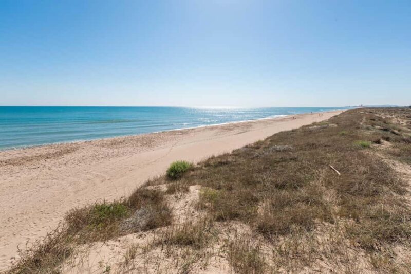From Valencia: Albufera Natural Park with Sunset Boat Tour - What to Bring for a Comfortable Experience