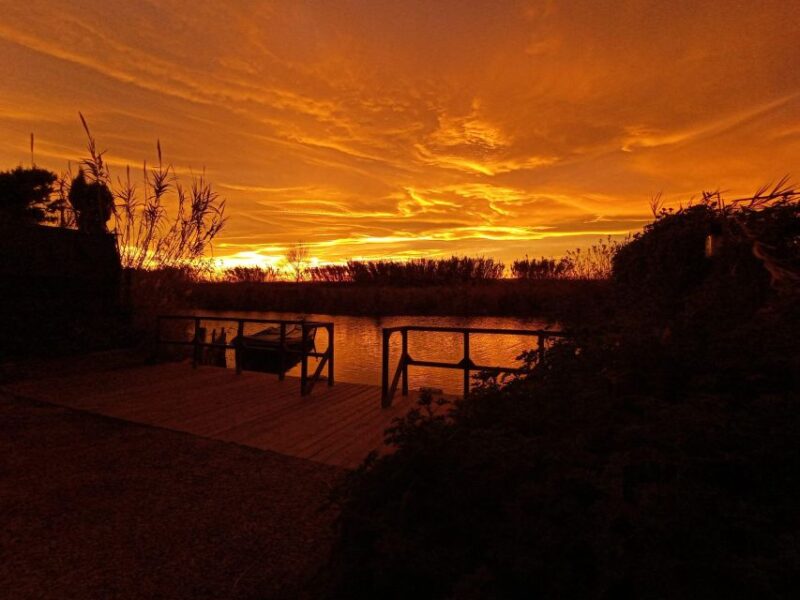 From Valencia: Albufera Natural Park with Sunset Boat Tour - Guided Commentary in Multiple Languages
