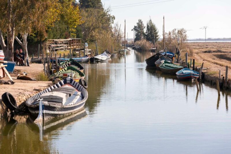 From Valencia: Albufera Natural Park with Sunset Boat Tour - The Experience of Watching the Sunset