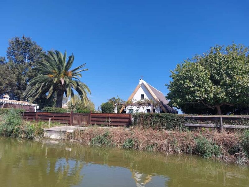 From Valencia: Albufera, Paella and Chocolate Tour - A Flavorful and Natural Day Out from Valencia