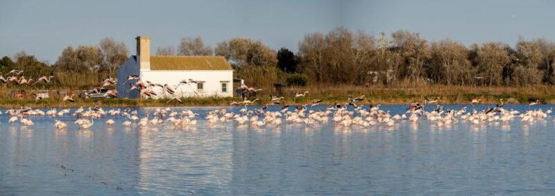 From Valencia: Albufera Private Tour, Paella & Boat Ride - Cost, Booking, and Cancellation Policies