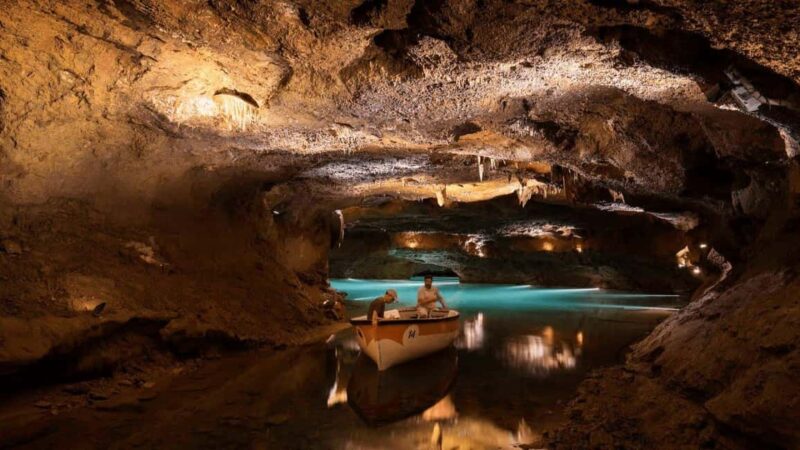 From Valencia: Caves of San José Guided Boat Tour and Ticket - The Experience Guides and Language Support