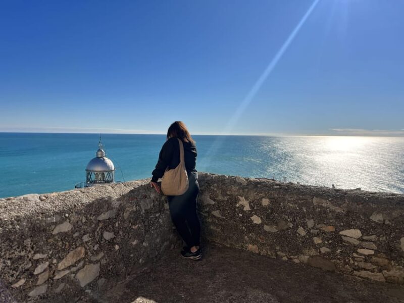 From Valencia: Day Trip to Peñiscola with Castle Visit - What Makes This Tour Stand Out