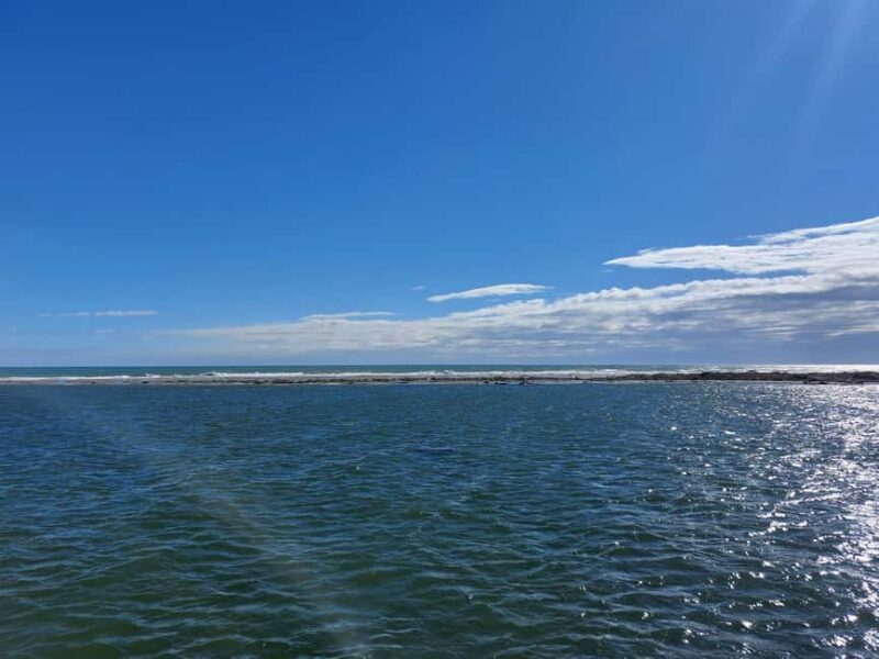 From Valencia: Ebro Delta Cruise, Ecomuseum & Peñíscola Tour - Key Points