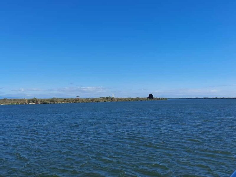 From Valencia: Ebro Delta Cruise, Ecomuseum & Peñíscola Tour - Visit to the Ecomuseum in Deltebre