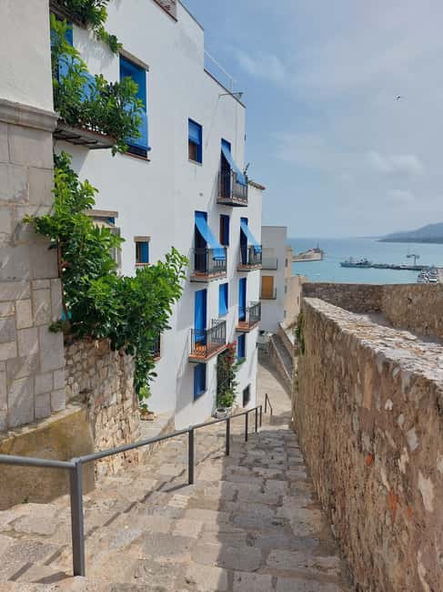 From Valencia: Ebro Delta Cruise, Ecomuseum & Peñíscola Tour - Practical Tips and Considerations