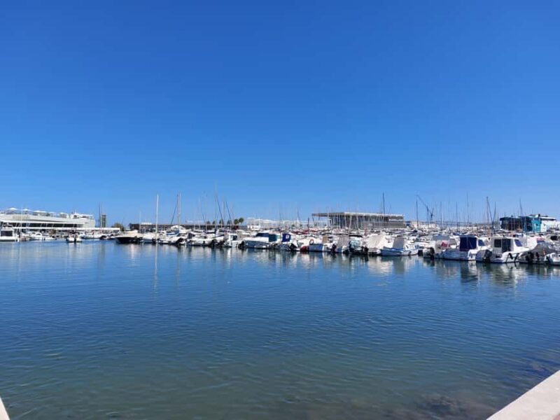 From Valencia: Guadalest and Dénia Day Trip - Practical Tips for the Day Trip