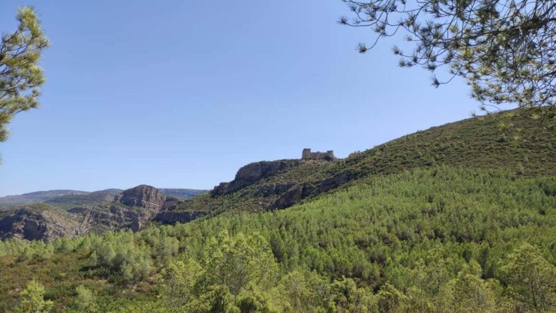 From Valencia: Hike and kayak tour through the Júcar Gorge - Swimming Break at Embalse Cortes II