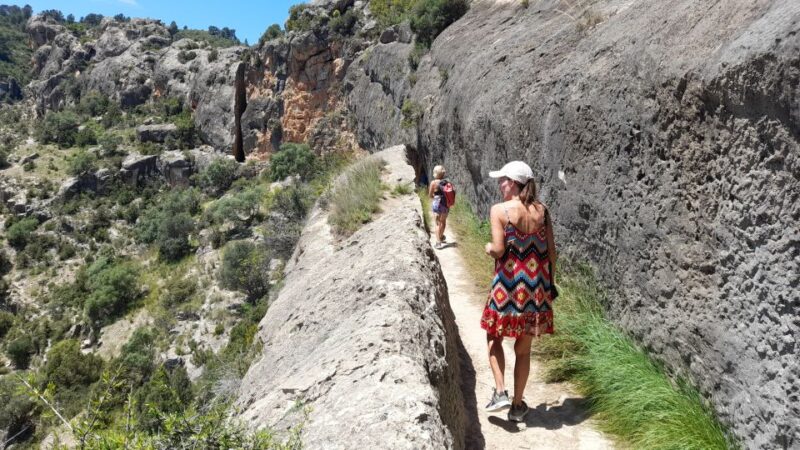From Valencia: Peña Cortada Private Hiking Day Tour - Logistics and Meeting Arrangements