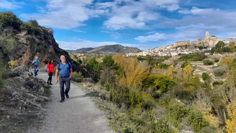 From Valencia: Peña Cortada Private Hiking Day Tour - Customer Satisfaction and Guide Excellence