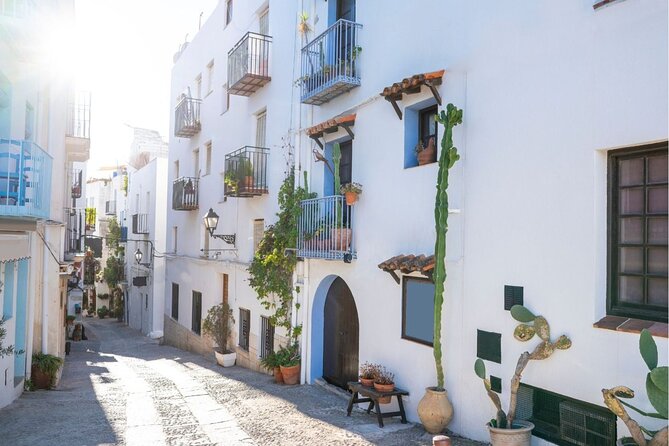 From Valencia: Private Tour Coves de Sant Josep & Peñíscola - Comfortable Transportation and Seamless Logistics