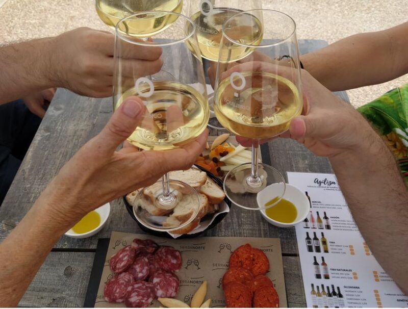 From Valencia: Requena Wine Tour with Tastings - Reviews Highlighting the Tours Strengths