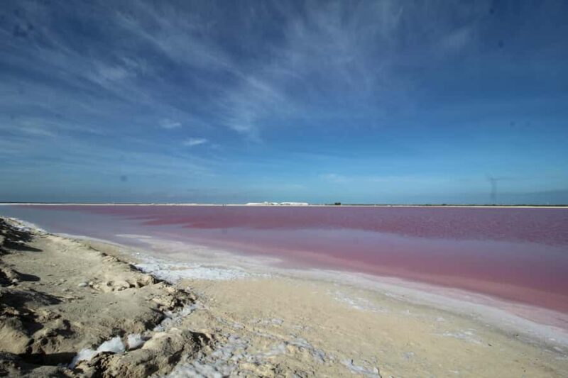From Valladolid: Flamingo Tour, Rio Lagartos, Las Coloradas, Cenote + Lunch - Key Points