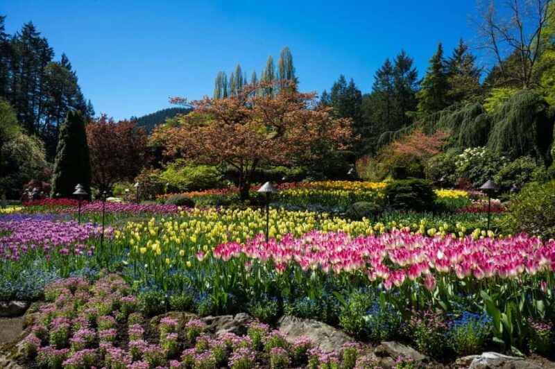 From Vancouver: Butchart Gardens & Victoria Sightseeing Tour - Weather Considerations and Packing Tips