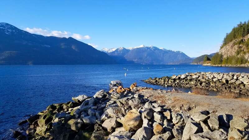 From Vancouver: Shannon Falls and Whistler Sightseeing Tour - Optional Gondola Ride and Mountain Exploration (Not Included)