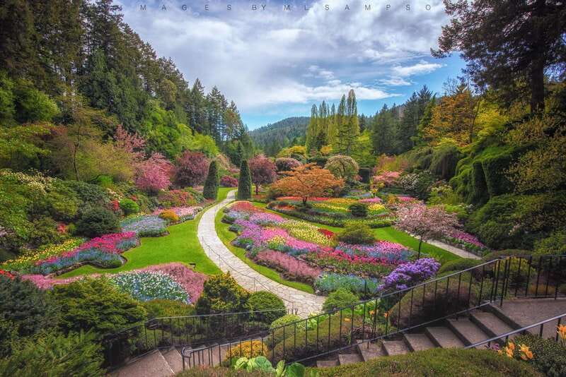 From Vancouver: Victoria City and Butchart Gardens Tour - Scenic Drive Along Beach Avenue into Downtown Victoria