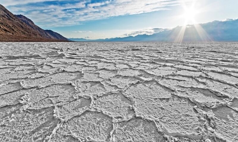 From Vegas to San Francisco: 7-Day National Park Tour - San Francisco City Tour and Farewell