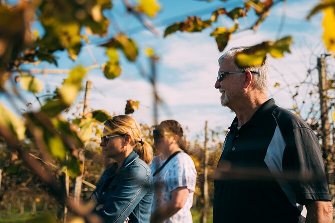 From Venice: Prosecco Wine Region Tour with 2 Tastings - Scenic Drive and Photo Opportunities in the Vineyards