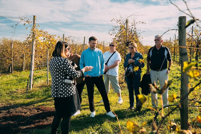 From Venice: Prosecco Wine Region Tour with 2 Tastings - Value and Booking Details