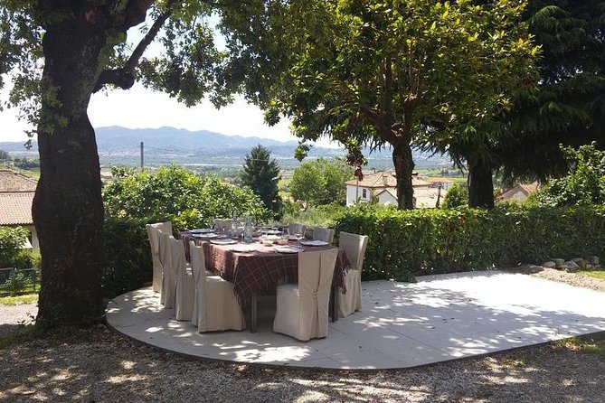 From Venice : Wine and Food tour in the Prosecco Hills - Additional Details About the Tour Logistics