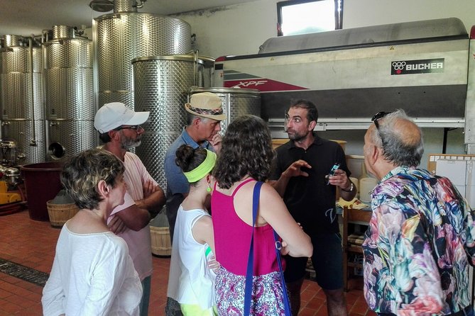 From Venice : Wine and Food tour in the Prosecco Hills - What Sets This Tour Apart from Others