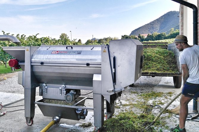 From Venice: Wine Tour in the Euganean Hills - Physical Requirements and Accessibility