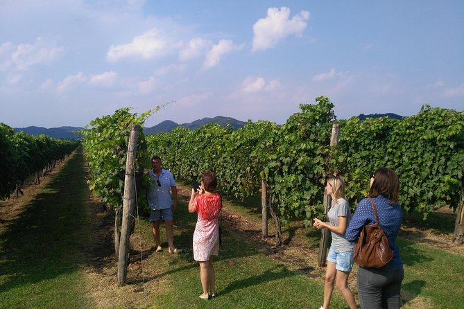 From Venice: Wine Tour in the Euganean Hills - Value and Considerations