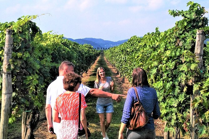 From Venice: Wine Tour in the Euganean Hills - Review Highlights: What Works Well