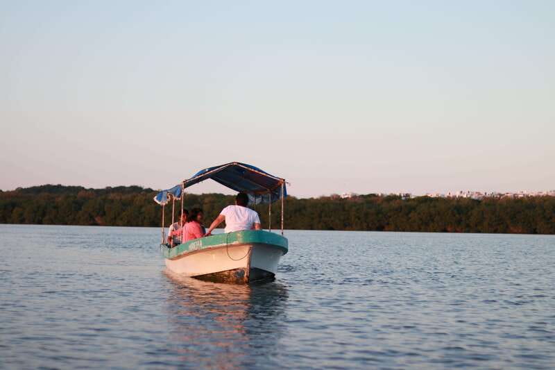 From Veracruz: Nature & Seafood Boat Tour to Madinga - Tasting Fresh Seafood at Mandingas Local Restaurants