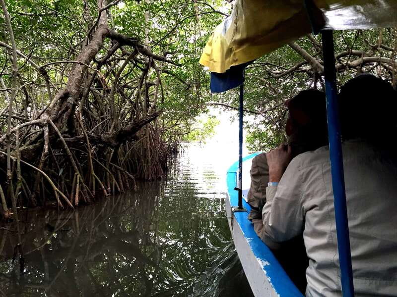 From Veracruz: Nature & Seafood Boat Tour to Madinga - Balancing Value and Experience with Practical Considerations