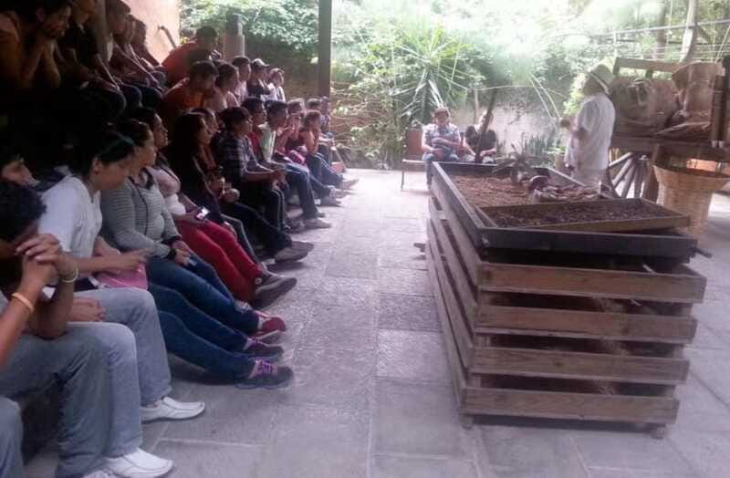 From Veracruz: Xalapa & Coatepec Day Trip - Coffee Tasting and Cultural Insights in Coatepec