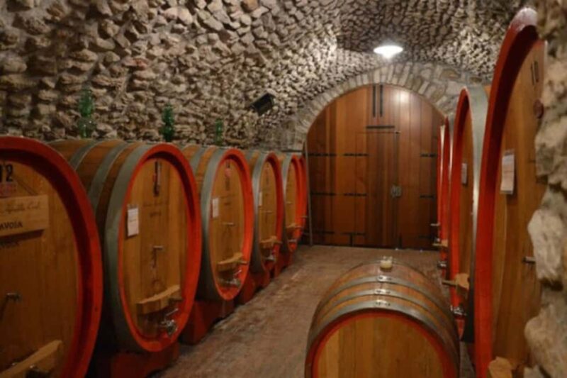From Verona: Amarone Half-Day Wine Tasting Tour - The Role of Guides in Creating an Authentic Experience