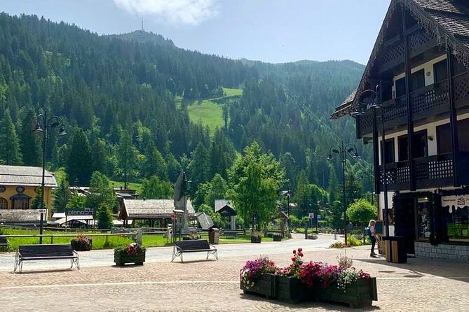 From Verona area: Private day trip to the Dolomites - Key Points