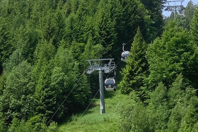 From Verona area: Private day trip to the Dolomites - Logistics: Pickup, Drop-off, and Timing