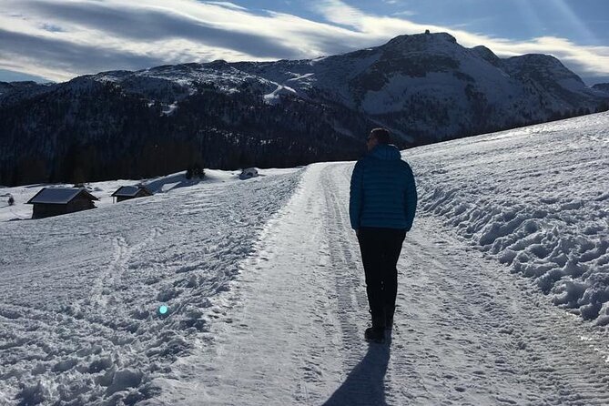 From Verona area: Private day trip to the Dolomites - Pricing and Booking Considerations