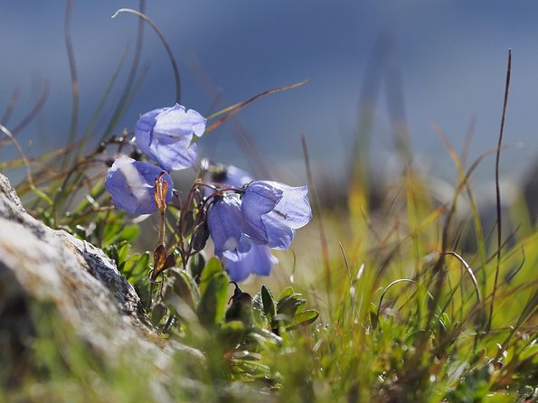 From Verona: Full-day Dolomites Mountains trip - Exploring Ortisei: Charm in Every Detail