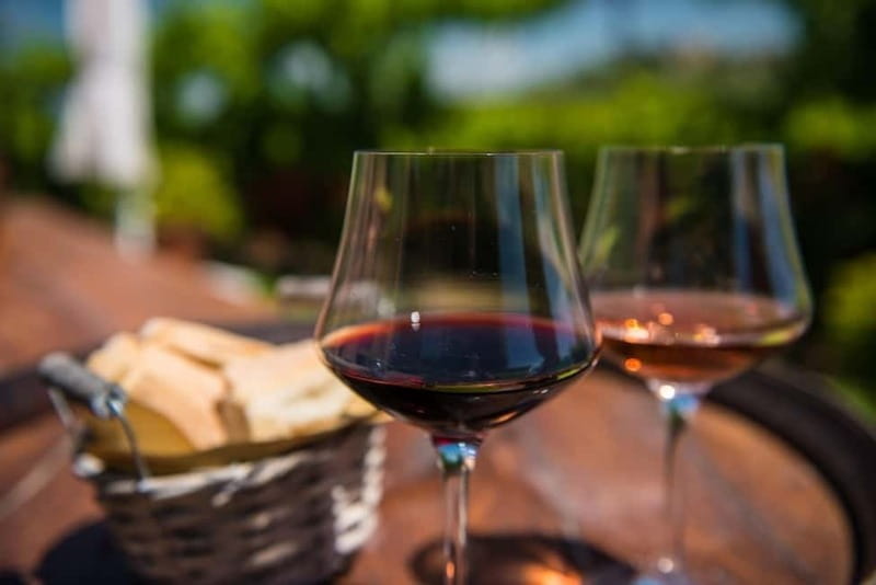 From Verona: Half-Day Valpolicella & Amarone Wine Experience - Time for Shopping and Souvenirs
