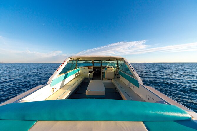 From Verona: private trip to Sirmione Lake Garda & Valpolicella Wine Region - Journey to the Famous Lake Garda Resort Town of Sirmione